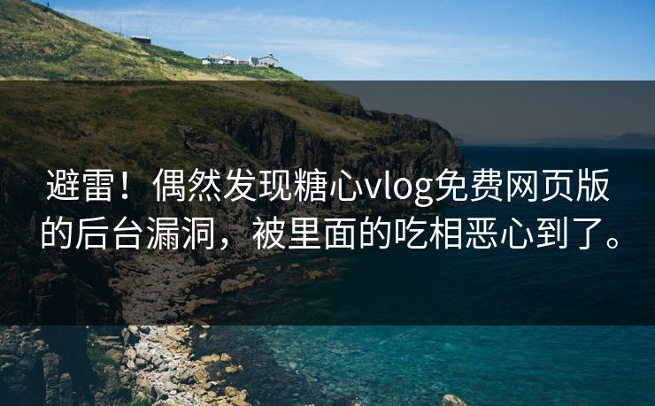 避雷！偶然发现糖心vlog免费网页版的后台漏洞，被里面的吃相恶心到了。
